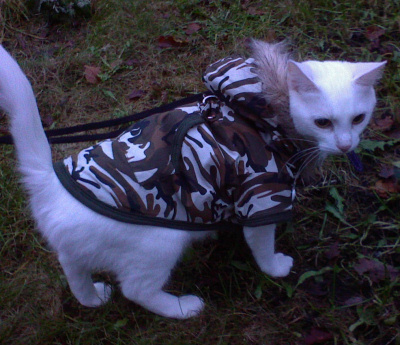 kattmamma_parka.jpg