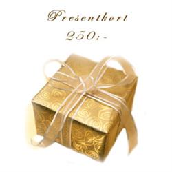 PRESENTKORT - 250 KRONOR ()