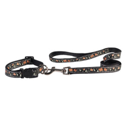 Halloween Collar & Leash Set