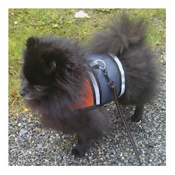 REFLECTIVE HARNESS VEST (Z&amp;Z)