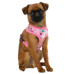 Modern Print Harness - Pink