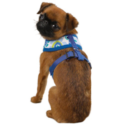 MODERN PRINT HARNESS - BLUE (Casual Canine)