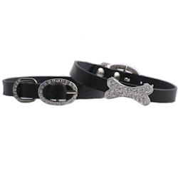 LEATHER COLLAR WITH BONE CHARM - BLACK (DOGO)