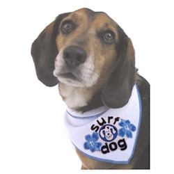 SURF DOG BANDANA (ISS)