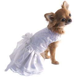 WEDDING DRESS WITH LACE PEARLS &amp; MATCHING LEASH (Pet Boutique)