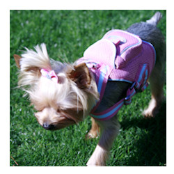 HARNESS BACK PACK &amp; MATCHING LEASH - PINK (GOOBY)