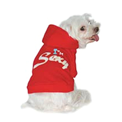 I'M SEXY HOODIE (DOGO)