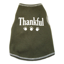 Thankful tank