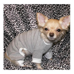 PAJAMAS - GREY &amp; WHITE (Pet Boutique)