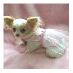 PINK TUTU DRESS (Pet Boutique)