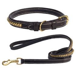 Studded Leather Collar & Leash Set