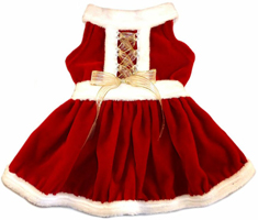 Fabulous Christmas Dress