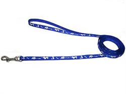 REFLECTIVE LEASH - BLUE ()