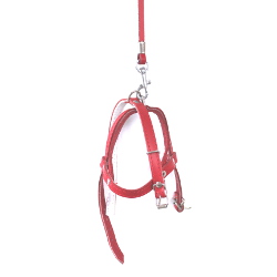 LEATHER COLLAR &amp; HARNESS &amp; LEASH SET - RED ()