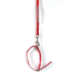 COLLAR &amp; LEASH SET WITH RHINESTONES ()