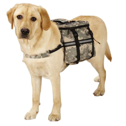 DOG DAY TRIPPER - CAMO (Casual Canine)