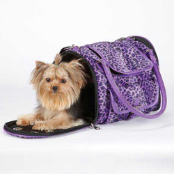 Vibrant Leopard Carrier - Purple