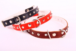 Leather Collar with Studs - Red
