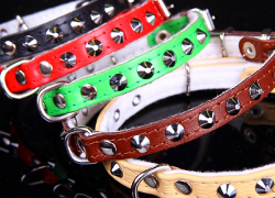 Leather Collar with Studs - Green