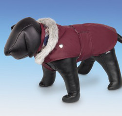 Dog Coat with Belt - Bordeaux