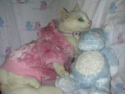 therese_katt_5.jpg
