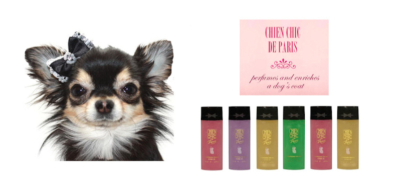 Chien Chic de Paris