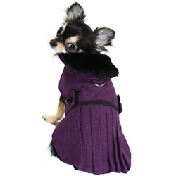 FANCY WOOL COAT - PURPLE (Pet Boutique)