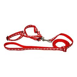 Hearts Harness set - Red