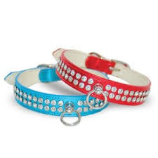 Celebrity Style Collar - Blue