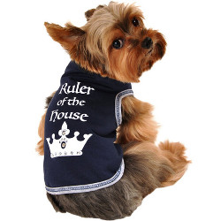 Ruler of the House - Navy