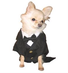 TUXEDO - TRADITIONAL (Pet Boutique)