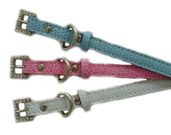 Charm Collar - Blue